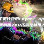 一文了解比特币Layer2 opZKP，如何利用ZKP拓展比特币？