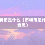 比特币是个什么东西？
