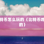 比特币怎么玩的（比特币咋玩的）