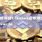 BTCO racle方案是亦来云BeL2的一部分