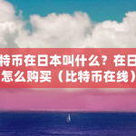 比特币在日本叫什么？
