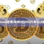 IlluviumA轮融资将用于在Illuvium生态系统内开发新的游戏项目
