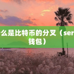 什么是比特币的分叉（sero 钱包）