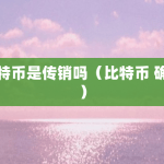 比特币是传销吗（比特币 确认）