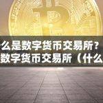 什么是数字货币交易所？了解数字货币交易所（什么是数字货币交易所?了解数字货币交易所的特点）