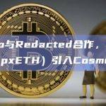 再质押协议Picasso Network宣布与DeFi协议Redacted合作