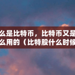 什么是比特币，比特币又是干什么用的（比特股什么时候上线的啊）