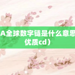 IDA全球数字链是什么？
