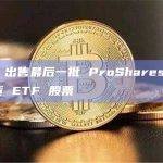 ProShares比特币期货ETF股票已被出售
