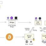 Polygon Ventures：对本轮牛市 BTC 生态的研究分析