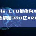 Schwartz：将XRP转移到另一个实体并期望负责任的使用是不现实的