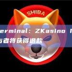IDO平台Ape Terminal最新公告