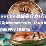 Avalanche基金会分发1万枚AVAX作为Memecoin Rush第一周单边质押计划奖励