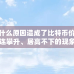 是什么原因造成了比特币价格连连攀升、居高不下的现象（虚拟币为什么涨跌同步呢）