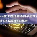 Runes矿工在比特币减半后9个区块中支付78.6枚BTC费用