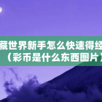 宝藏世界新手怎么快速得经验（彩币是什么东西图片）