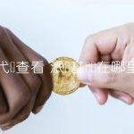派币代码查看 派币基础币在哪里看
