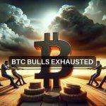 比特币(BTC)走向7.5 万美元还是 5.5 万美元？