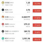 山寨币集体下跌 币圈牛市结束了吗