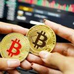 btc钱包地址登录