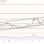NEO币价格将涨至30美元？