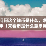 想问问这个钱币是什么，求助高手（来看币是什么意思网络用语）