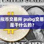 虚拟币交易所pubg是什么？