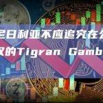 币安：尼日利亚不应追究在公司中没有决策权的Tigran Gambaryan的责任