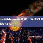 Solana链Meme币普跌，WIF过去24小时下跌超13%