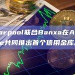Banxa初步将通过信用金库借入高达500万美元的USDC