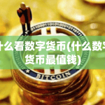 什么看数字货币(什么数字货币最值钱)
