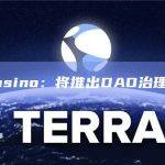ZKasino：将推出DAO治理模型