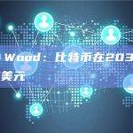 Cathie Wood：比特币在2030年将涨至150万美元