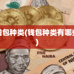 2024钱包的最新种类有哪些？