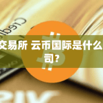 p交易所 云币国际是什么公司？