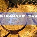 特斯拉比特币持有量在一季度未有增减