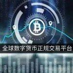 现在还能在国内使用的虚拟币平台国内正规的交易软件