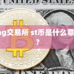 st币是什么意思？