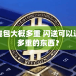 钱包大概多重 闪送可以送多重的东西？