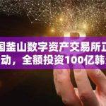韩国釜山数字资产交易所正式启动，全额投资100亿韩元